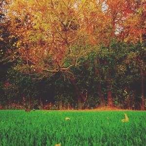 Meet your Posher, Annalee